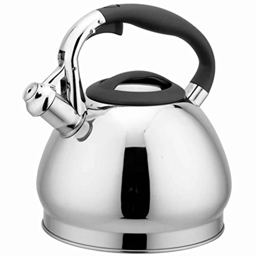 Bouilloire pour Cuisinière Bouilloire Sifflante Bouilloire Sifflante En Acier Inoxydable 3L Chaudière À Eau Chaude Bouilloire Cuisine Cuisinière Bouilloire Chaude Bouilloire Théière Théière avec Siffl
