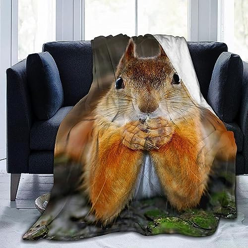 Kuscheldecke 80 x 150 cm 3D Eichhörnchen Flanell Fleecedecke, Weich Warm Flauschig Decke Tier Wohndecke Decken für Sofadecke Couchdecke kuscheldecken für Kinder Erwachsene, Blanket