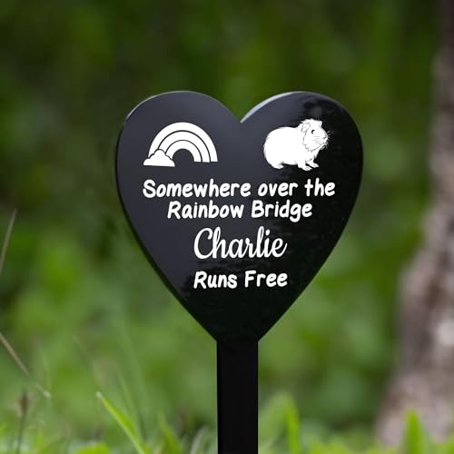 Personalised Dog Memorial Gifts Custom Pet Memorial Plaques Pet Bereavement Gifts with Any Photo & Name Grave Marker Grave Plaque Gifts for Loss of Dog Cat Pet Horse (Rainbow Bridge For Guinea Pig)