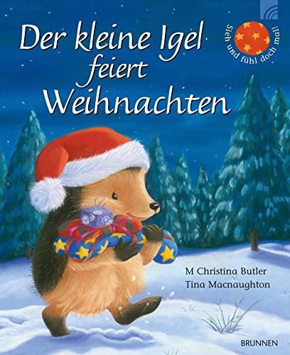 Der kleine Igel feiert Weihnachten: Eine zauberhafte Winter- und Weihnachtsgeschichte zum Vorlesen. Ein vergnüglicher Kinderbuch-Klassiker ab 3 aus Christina Butlers Bilderbuch-Reihe