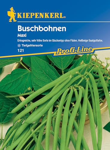 Kiepenkerl Profi-Line Buschbohnensamen Maxi 121 - Ertragreiche, sehr frühe Sorte im Gluckentyp ohne Fäden. Hellbeige Saatgutfarbe - Samen Gemüse, Gemüsesamen