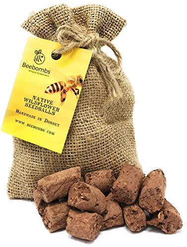 Official Beebombs Wild Flower Seeds UK Native Mix - Handmade in Dorset Wildflower Meadow Seed Balls, Bee Gifts, Gift for Gardener, 21sqft Coverage