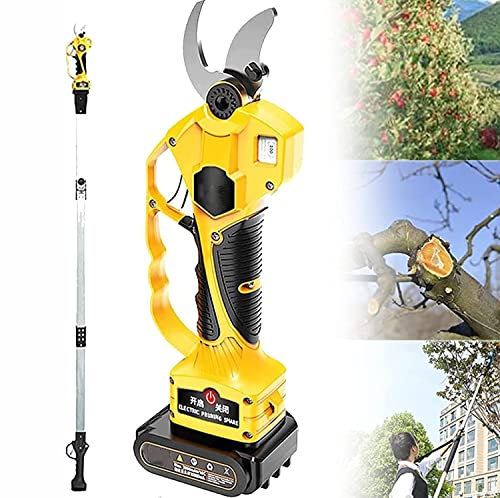 Sécateur électrique Professionnel, Coupe-Branches de sécateur électrique sans Fil de Jardin, diamètre de Coupe Maximum de 40 mm, avec Batterie au Lithium remplaçable et Perche télescopique, Tige d'e