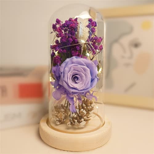 Eternal Rose Enchanted Sparkly Flower Artifical, Beauty and The Beast Infinity Galaxy Preserved Roses Lamp, Forever Glass Dome Gifts for Anniversary Mothers Women Girlfriend Wife Her Birthday