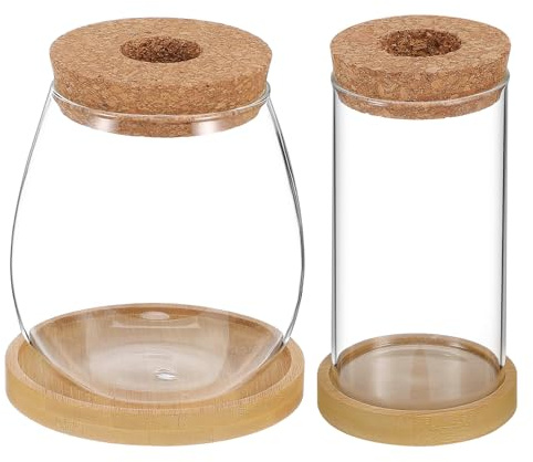 SHINEOFI Jarrones Hidropónicos de Borosilicato 65X12 CM con Orificio Bandejas de y Macetas Ovaladas Pequeñas Pack de 2 para de Interior y Propagación Hidropónica