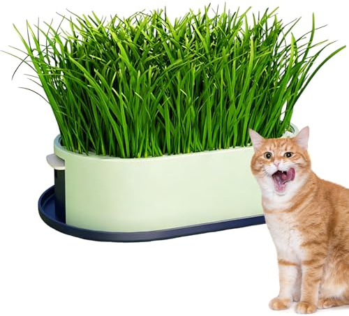 Katzengras Pflanzschale - Hydroponik Katzengarn Planzer | Katzengras Behälter | Für Kätzchen Snacks Katzenminze Fütterung Essen Zuhause Käfig Indoor