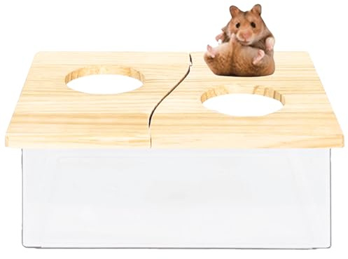 Hamster Sandbad Box Behälter, Hamsterbad Sand Rennmäuse Sandbad Hamster Staubbad, Hamster Katzentoilette Chinchilla Staubbad Hamster Zubehör (B)