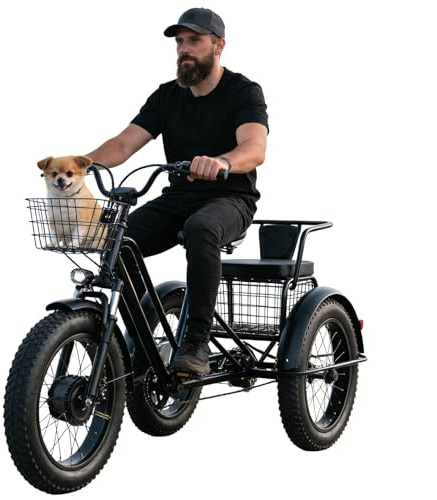 Dfdieratve Triciclo Elettrico da Carico per Adulti - Motore 500W, Autonomia 30km, Portata 200kg, 2 modalità, Doppi Cestini. per Lavoro, Viaggi e Famiglia