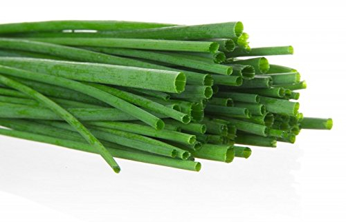 Erba Cipollina di Aglio - 100 Seme