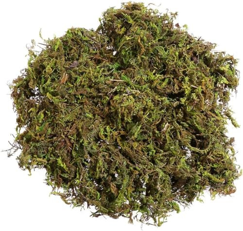 Garneck 2pcs Fake Moss Fake Lichen, Artificial Olive Tree Decor Simulation Green Plants Artificial Moss for Plant Pots for Home, Garden, Patio Decorative Artificial Flora (120g)