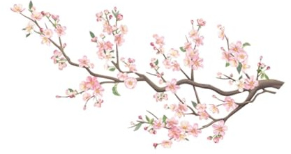 Colcolo Pesca Blossom Ramo Muro Adesivo murale Arte Floreale Decorazione per casa murale PVC PVC Fiori di Fiori Decalcomania per Ufficio da Cucina da Bagno
