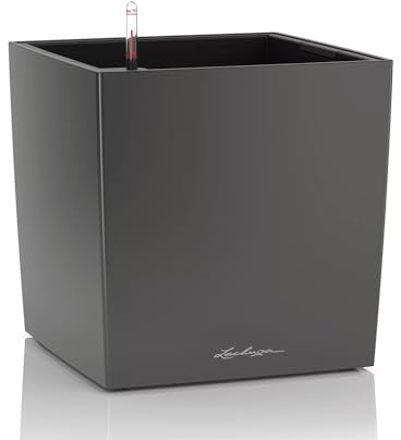 Lechuza – Pot de Fleurs d'Interieur – Premium Cube – Réserve d'Eau Intégrée – Coloris Anthracite – 30 x 30 x 30 cm
