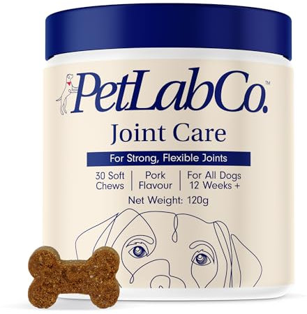 PetLab Co. Joint Care Chews – Daily Joint Supplements For Dogs - Help Promote An Active & Healthy Life - Rich In Glucosamine, Turmeric, Salmon Oil To Support Mobility & Healthy Joints