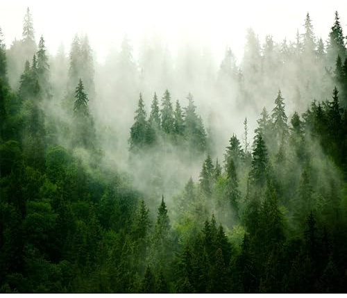 decomonkey Fototapete selbstklebend Wald 343x256 cm XL Selbstklebende Tapeten Wand Fototapeten Tapete Wandtapete klebend Klebefolie Tiere