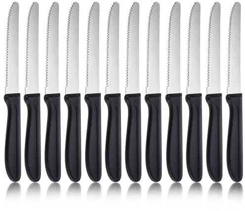 hunnycook Frühstücksmesser 12 Stück, Wellenförmiger Tafelmesser mit Wellenschliff, Frühstücksmesser set aus Edelstahl, Besteck messer set für Haus und Restaurant, Spülmaschinenfest