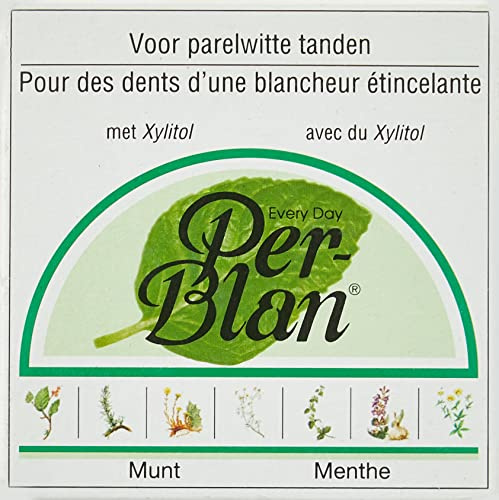 Dentifrice à la menthe POUDRE 30 GR