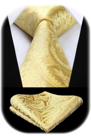 HISDERN Cravate Homme dorée Paisley Cravates en Soie pour Hommes Mariage Cravatte et Pochette Set
