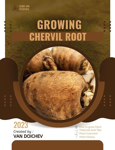 Chervil Root: Guide and overview