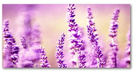 Tulup Leinwandbild - Wandkunst - Drucke auf Leinwand - Leinwanddruck -100x50 cm - Blumen & Pflanzen - Lila - Lavendel