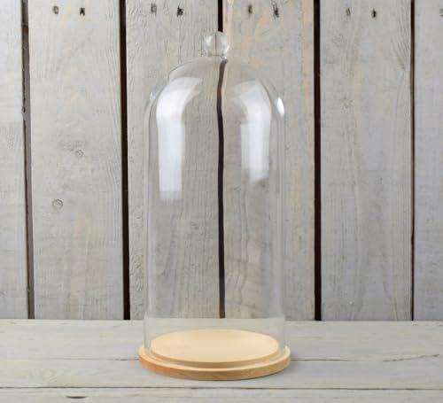 EMH Campana circolare fatta a mano in vetro trasparente con pomello e base in legno naturale, 33,5 x 15 cm