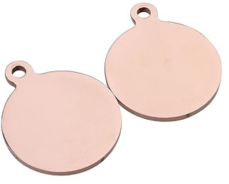 Leere Haustier Id Etiketten 25mm 2 Stück Edelstahl zum Gravieren