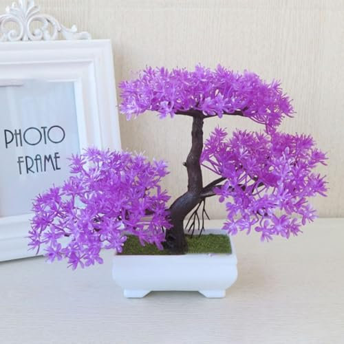 Mini piante di pino bonsai compatto per decorare salotti, camere da letto, uffici o aree esterne (viola)