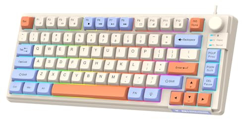 Lancoon Wired Gaming Keyboard with Volume Knob Colorful Light 81 Keys Adjustable Bracket Multimedia Function Ergonomic Design for PC Computer Laptop Tablet