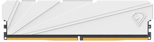 Netac DDR4 - Memoria RAM de 16 GB (2666 MHz, DRAM C19, 16 GB, Color Blanco, para Juegos de Ordenador)
