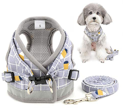 Zunea Hundegeschirr mit Leine Set für Kleine Hunde Welpen Grau M | Verstellbar, Reflektierend, Anti-Zug, Ausbruchsicher, Netz Gepolstert, Spaziergänge, Chihuahua Yorkie Katzen Brustgeschirre