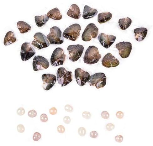 25pcs Natural Oyster Pearlwit,Natural Freshwater Oyster Pearl with Real Pearls 7-8mm Pearl Individually Vacuum Pack
