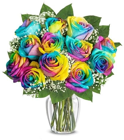 From You Flowers - One Dozen Wild Rainbow Roses with Glass Vase | Fresh Flower Bouquets for Birthday, Anniversary, Get Well or Celebration