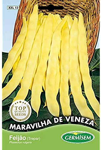 Germisem Stangenbohnen MARAVILHA DE VENEZA, Mehrfarbig, XXL 13
