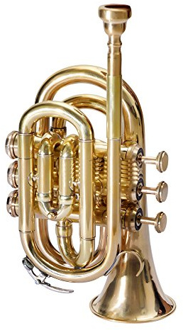 Pocket Trompete Bb Pitch inkl. Mundstück und Tragetasche, goldfarben