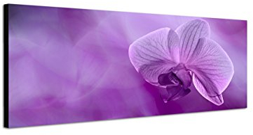 Augenblicke Wandbilder Keilrahmenbild Wandbild 150x50cm Orchidee Blüte Nahaufnahme lila