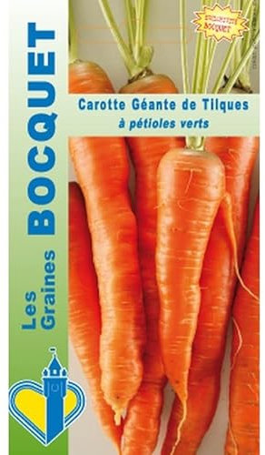 Sachet de graines de Carotte géante de Tilques - 2 g - légume racine - LES GRAINES BOCQUET