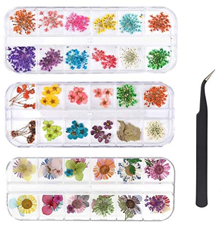KAHEIGN 96 Pièces Fleur Séchée pour Ongles, 3D Nail Art Véritable Fleur Séchée Nail Applique Nail Pièces Préservé Fleur Manucure Nail Art Décoration - avec Pince À Épiler