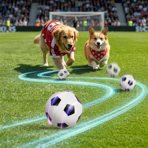 Pet Prime Interaktiver Spielball für Hunde Typ-C Ladung Intelligenter Sensor Hundespielzeug elektrischer Ball mitteler großer Hunde Fußball 8cm Robust Sicher & Wasserfest für Innen/Außen (Fußball)