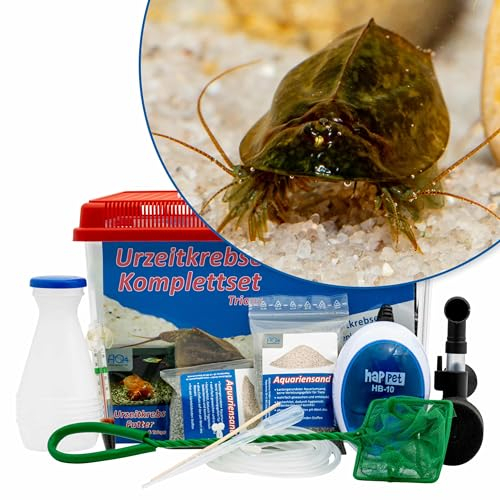 AQ4Aquaristik Triops cancriformis simplex Komplettset mit Urzeitkrebseiern: 6 l Aquarium, Zuchtansatz, Filter, Luftpumpe, Zubehör, Futter und Anleitung,