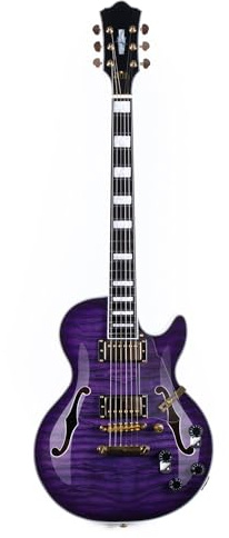 Elektrische Gitarre Buntes Professionelles Performance Übungsinstrument E Gitarre Geeignet Für Anfänger(Dark purple)