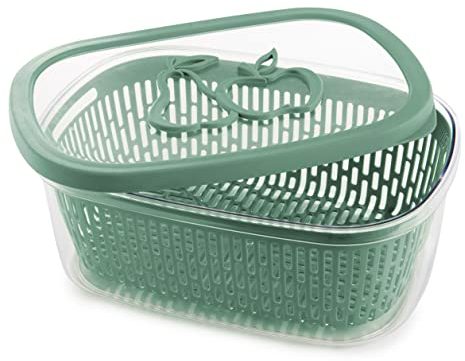 Snips, Recipiente guarda Alimentos Fruta 4 Lt, Botes Cocina Almacenaje 28,5 x 20,5 x 11 cm, Envase Alimentos con Rejilla interior, Verde, Made in Italy, 0% sin BPA ni ftalatos