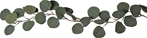 Star LED-Eukalyptuszweig 'Eucalyptus',