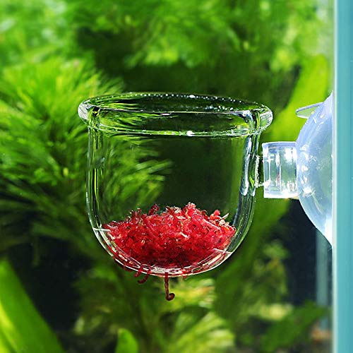 Futterbehälter Aquarium Futterbecher, Aquarium Glas Fütterkegel, Aquarium Feeder, Aquarium Angeln auf kleine Tropische Fische Houeshold für Wasserwürmer (Glass Gap Cup)