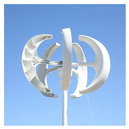 Aerogenerador Eolico Turbina eólica de eje Vertical de 5000W y 8000W, 12V, 24V, 48V, Motor de molino de viento, inicio rápido, farola híbrida for granja doméstica con controlador MPPT(White,TURBINE ON