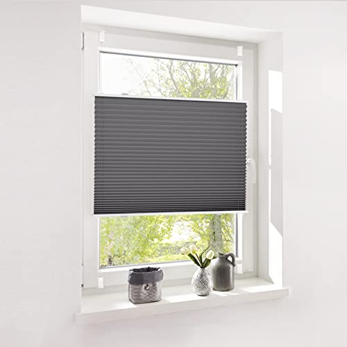 Deswell Plissee ohne Bohren Klemmfix Anthrazit B100 x H110cm Plisseerollo Sonnenschutz und Sichtschutz Jalousien Easyfix Plissees Lichtdurchlässig Rollo für Fenster & Tür