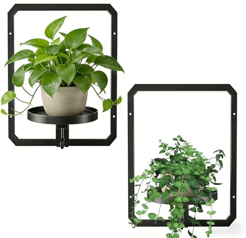 DETENE 2 Pièces Support pour Plantes d'intérieur avec Vis Étagère pour | Plantes en Métal Étagère Murale pour Plantes Supports de Pots de Fleurs pour Maison Jardin Balcon Salon Terrasse Cour