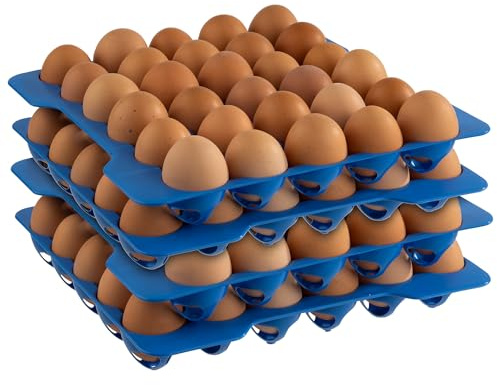 APS 10 couches à la boîte à œufs, stockage pour les œufs, chaque couche á 30 œufs, 28,5 x 28,5 cm, 6,5 cm de hauteur