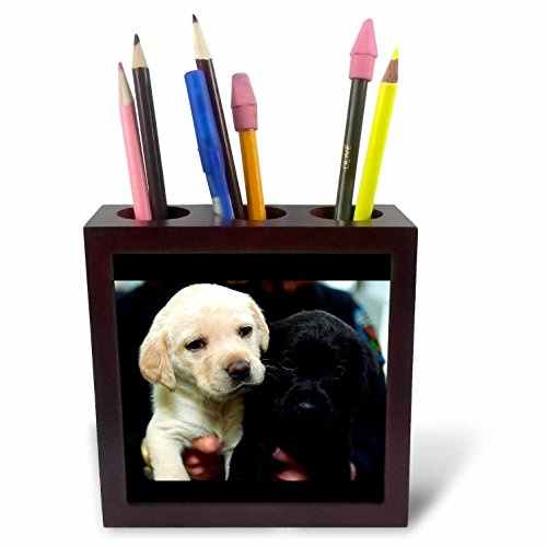 3dRose LLC Black and Yellow Lab Puppies 5-Inch Tile Pen Holder