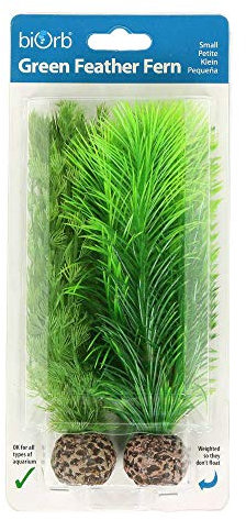 Reef One Biorb Small Green Feather Fern Plants for Aquariums