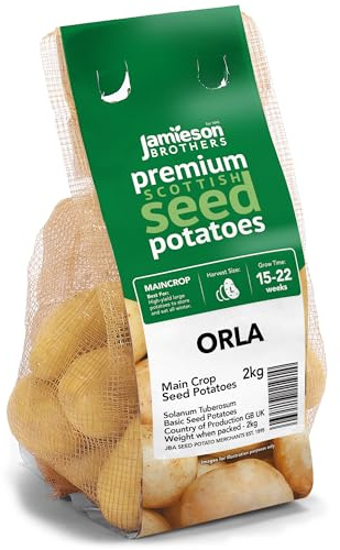 Jamieson Brothers 2kg Orla Seed Potatoes – JBA Maincrop Grow Your Own Spuds – Great for Chipping, Boiling, Mashing & Baking – Scottish-Grown & Ready to Plant in Pots, Gardens & Allotments