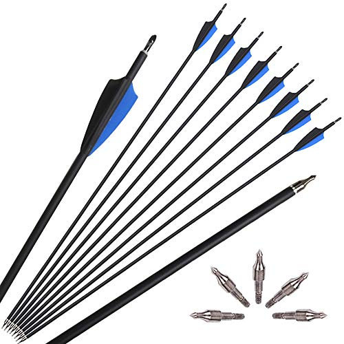 ZSHJG 12pcs Carbonpfeile für Bogenschießen 30,5 Zoll Jagdpfeile Spine 500 Bogenpfeile mit Pfeilköcher für Compound und Recurve Bogen Pfeile für Bogensport (Blau / 12St)